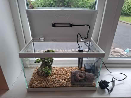 Photo of free Fish Tank (Saggart) #1