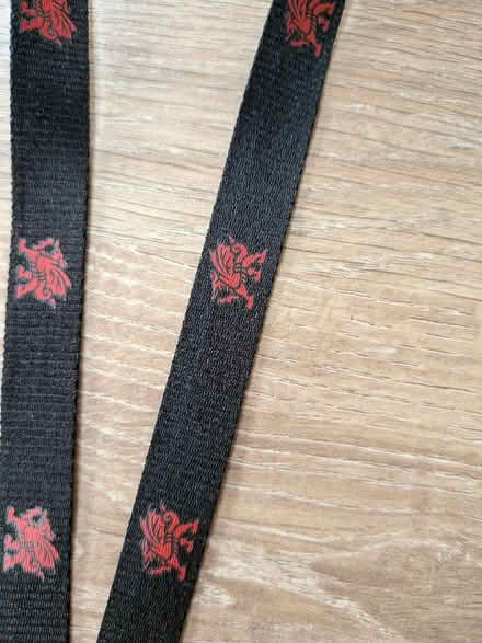 Photo of free Lanyard (Chippenham SN14) #2
