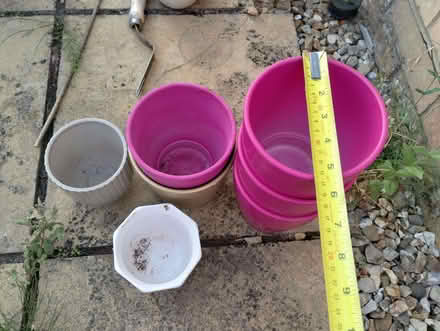 Photo of free Coloured Pots. (Burnham On Sea TA8) #3