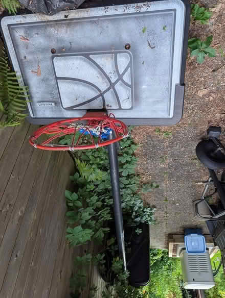 Photo of free basketball net (Hunt Club/Prince of Wales) #1