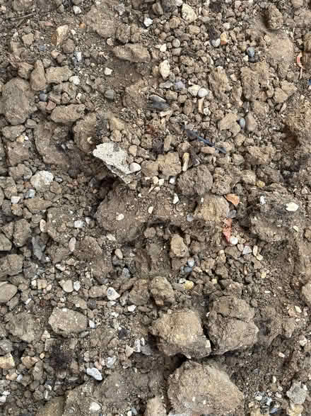 Photo of free Soil (Dunton SG18) #2