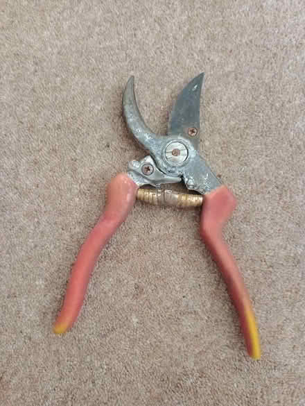 Photo of free Pruning shears (Fareham PO15) #1