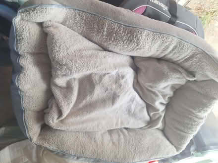 Photo of free Child car seat (Burham ME1) #2