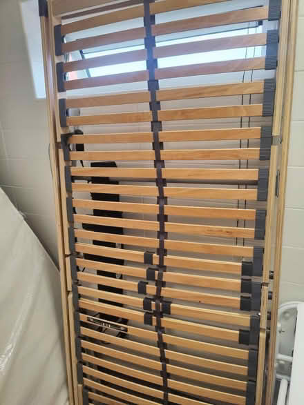 Photo of free Single electric bed (Egremont Wallasey) #1