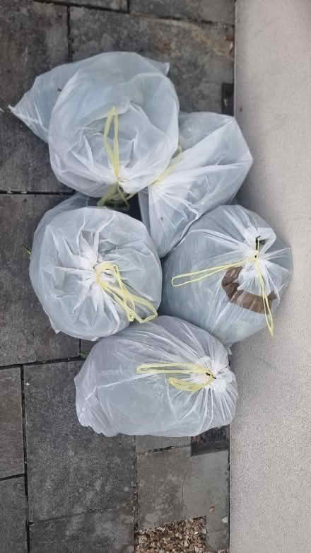 Photo of free Bags of Fresh Hedge Trimmings/Garden Waste (Stoke Park BS16) #1