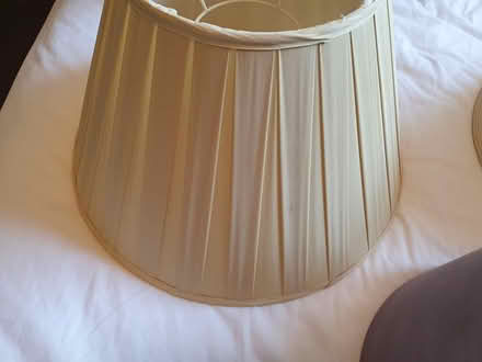 Photo of free Old Lampshades (RG23 Winklebury) #3
