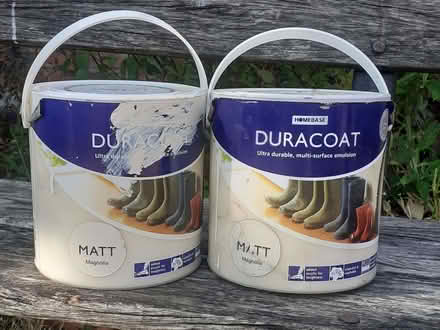 Photo of free Magnolia emulsion. (Wallingford OX10) #1