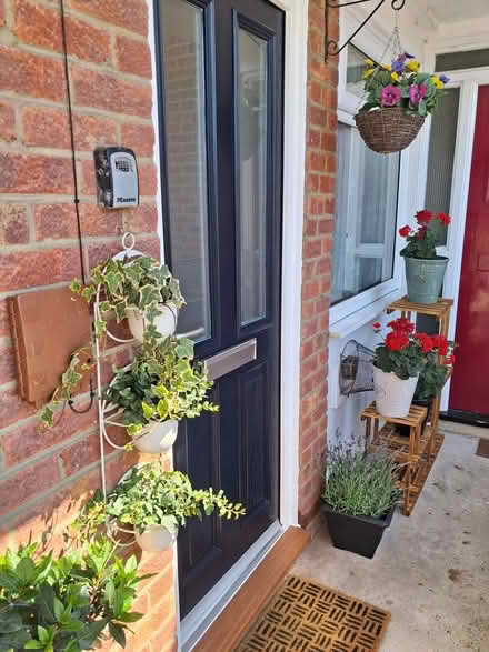 Photo of free Plant shelving unit (Southsea) #3