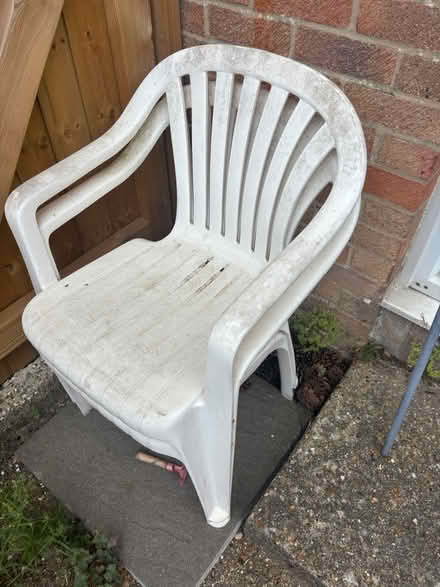 Photo of free Garden items (Canford Heath BH17 8) #1