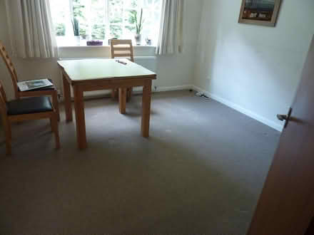 Photo of free Carpet (Pannal HG3) #1