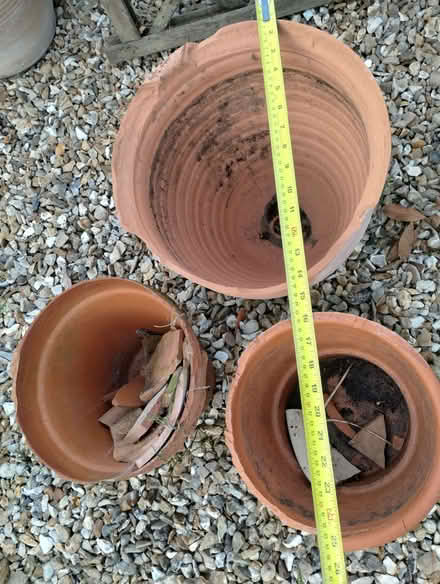 Photo of free 3 terracotta pots (Burnham On Sea TA8) #2