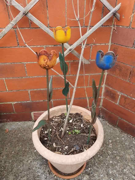 Photo of free 3 metal tulips (Heysham LA3) #1
