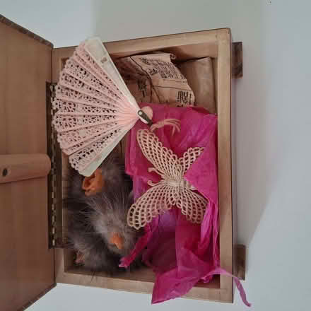 Photo of free Cigar box of treasures (Stoke St Milborough SY8) #3