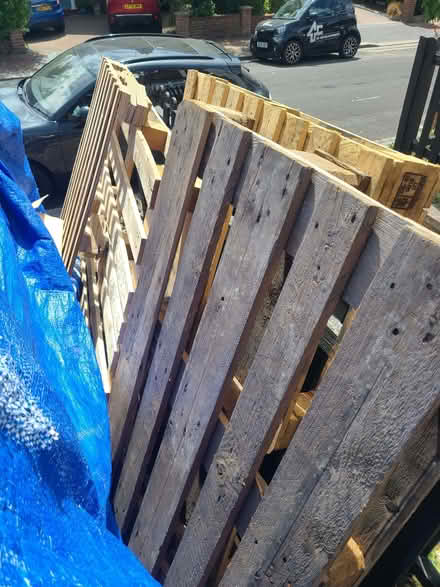 Photo of free wooden pallets skids (Roehampton SW15) #2