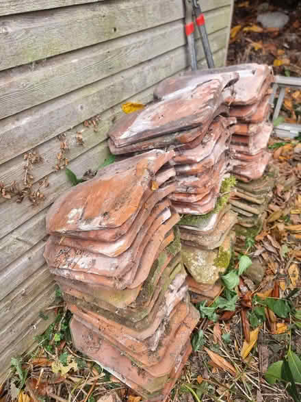 Photo of free Roof Tiles (Westwick NR10) #1