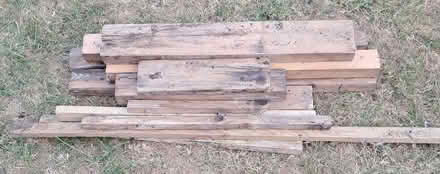 Photo of free Wood (Great Sankey WA5) #1
