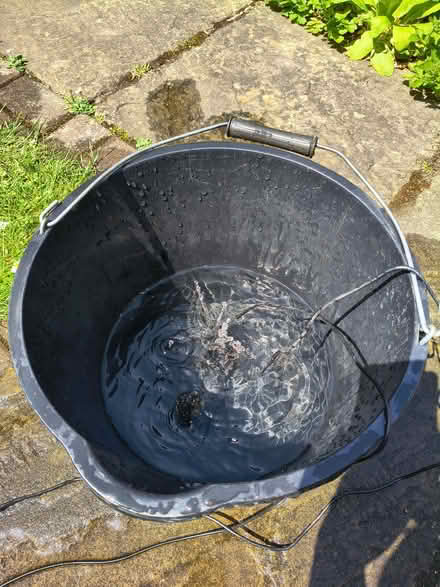 Photo of free Solar Powered Water Fountain (Hertford SG13) #2
