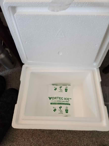 Photo of free small insulated Styrofoam container (Seattle, WA) #1