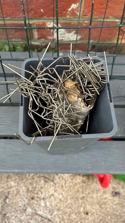 Photo of free Greenhouse clips (Westbury BA13) #1