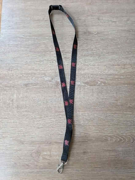 Photo of free Lanyard (Chippenham SN14) #1