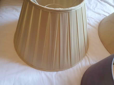 Photo of free Old Lampshades (RG23 Winklebury) #2