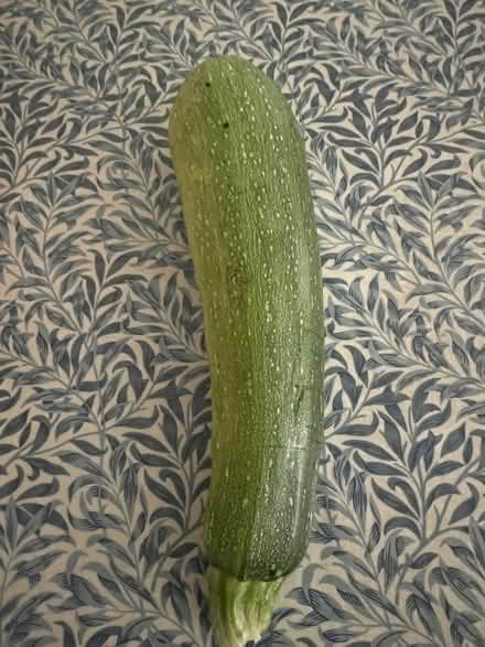 Photo of free Extra large courgette (Farnborough GU14) #1