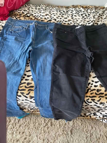 Photo of free Ladies jeans size 16 (TW14 bedfont) #1