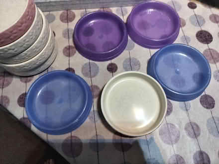 Photo of free Cat Feeding Bowls (High Shincliffe DH1) #1