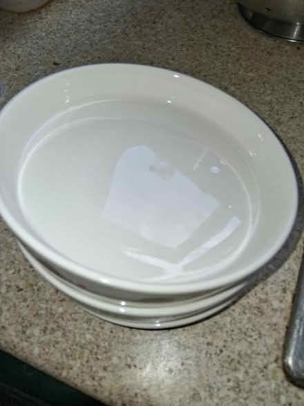 Photo of free Pet bowls (Tonbridge) #1