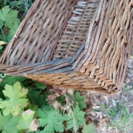 Photo of free Shallow basket (Binsey OX2) #2