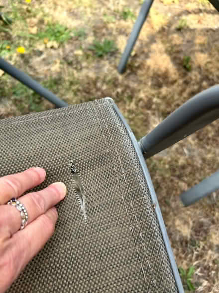 Photo of free Garden table and 3 chairs (Wargrave RG10) #4