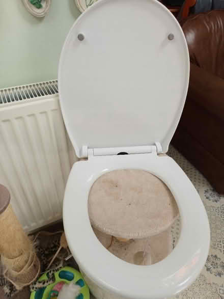 Photo of free New toilet seat (City of Bristol BS16) #2