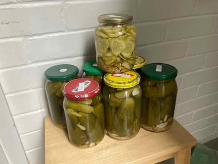 Photo of free Gherkins (already pickled) (Panshanger AL7) #1