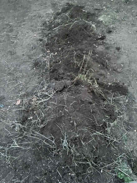 Photo of free Topsoil (Hitchin SG4) #2