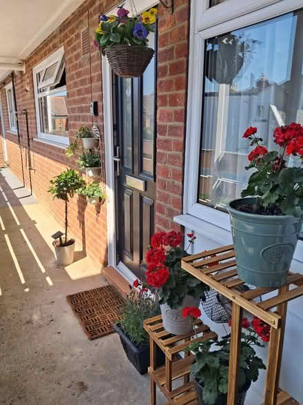 Photo of free Plant shelving unit (Southsea) #2