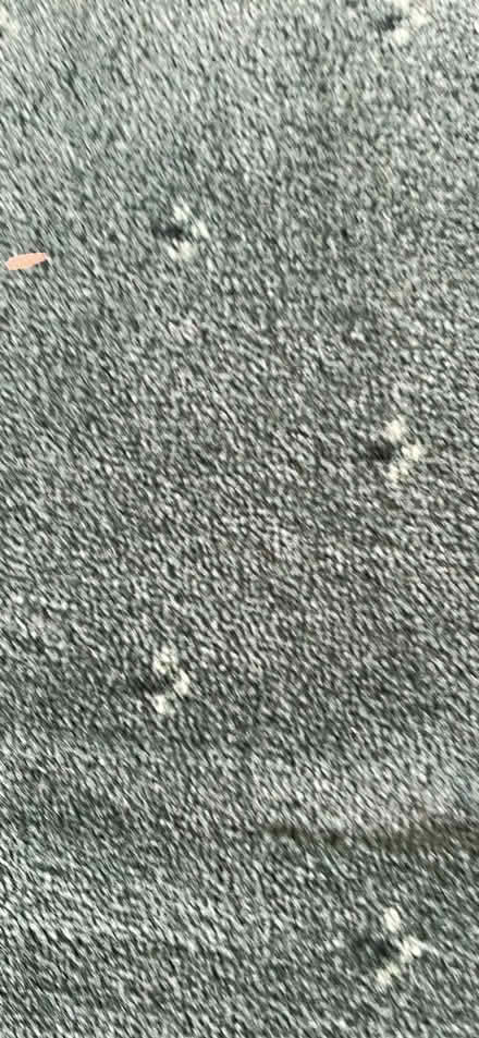 Photo of free Hessian backed carpet like new (Locks heath SO31) #1