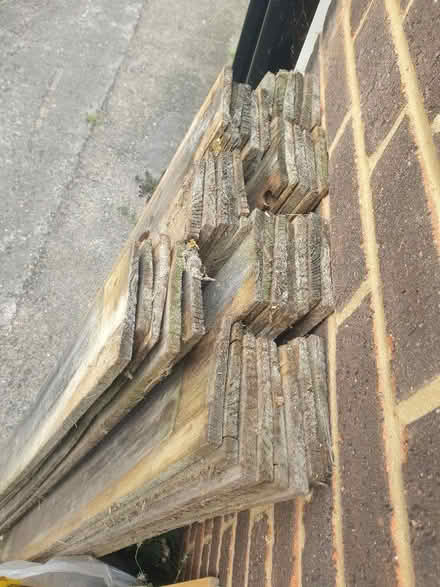Photo of free Plenty of Wood (Low Water BA11) #3