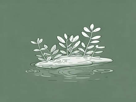 Photo of Marginal plants for VERY small pond (Knighton LD7) #1