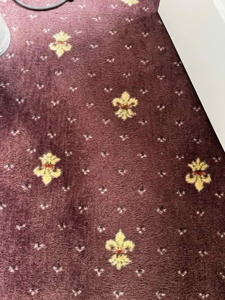 Photo of free Purple Hessian backed carpet as new (Locks heath SO31) #2