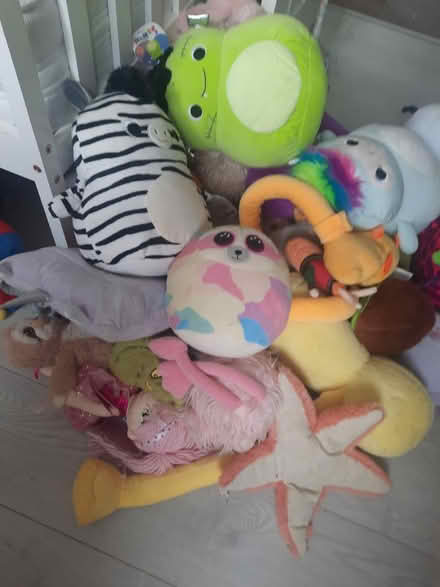 Photo of free 2 bags if cuddly teddy's (Pendlebury M27) #2