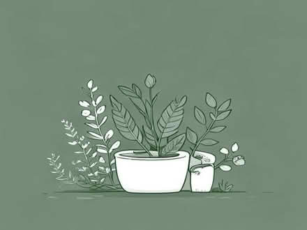 Photo of Outdoor plants/flowers (Canonbury N1) #1