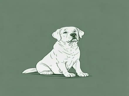 Photo of free Royal Canin labrador retriever food (Toftwood NR19) #1