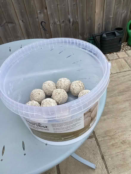 Photo of free Suet balls for birds (GL53 Leckhampton) #1