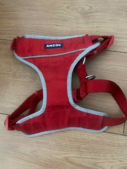 Photo of free Dog Harness (Perdiswell WR3) #1