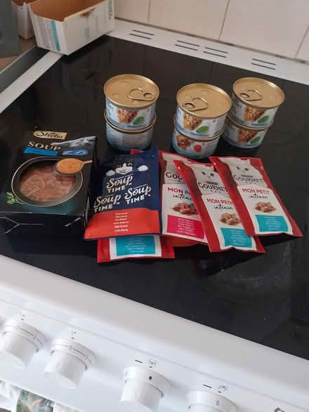 Photo of free Cat stuff (CH44 Egremont) #3