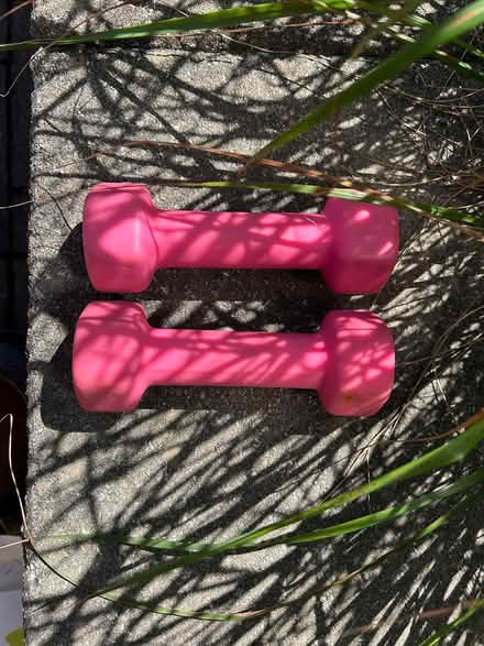 Photo of free Light Free Weights (Westboro) #1