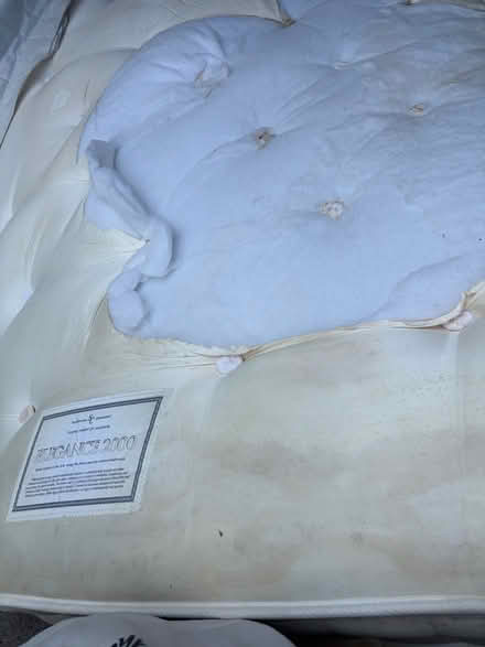 Photo of free Double matress (Colindale gardens) #3
