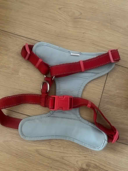 Photo of free Dog Harness (Perdiswell WR3) #2