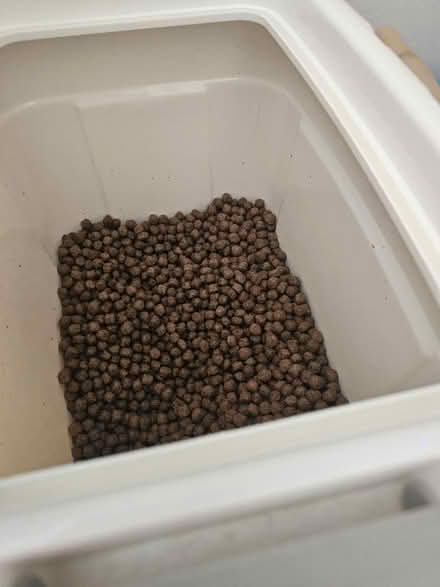 Photo of free Dry dog food - 13kg (Rowhedge CO5) #2