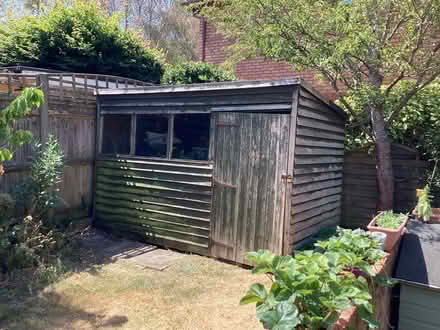 Photo of free 10 foot x 6 foot shed needing some TLC (Priestwood RG42) #1